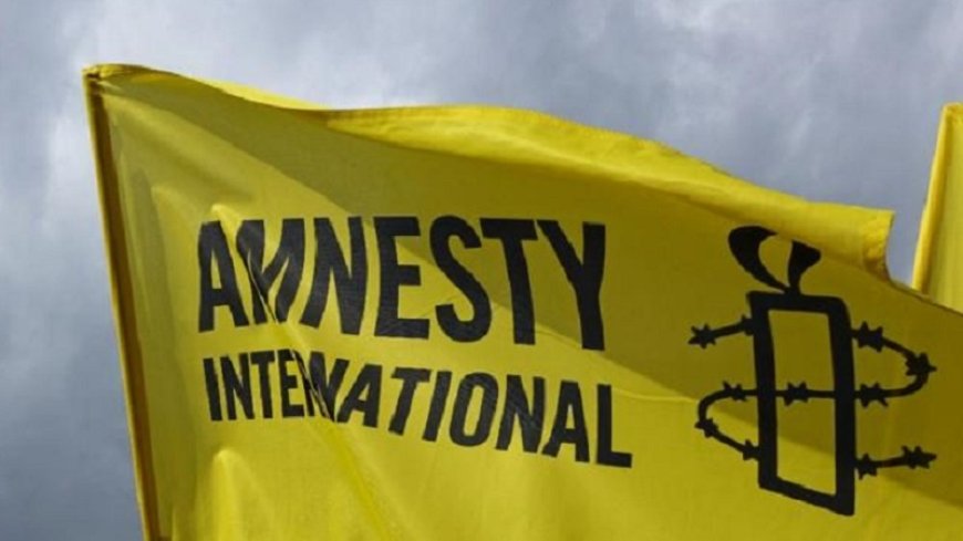 Amnesty International warns US to stop sending weapons to Israel