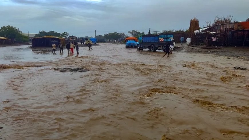 Heavy rains increase the suffering of refugees in eastern Sudan