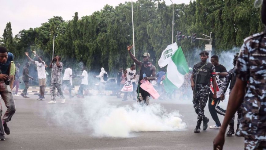 A Nigerian minister warns of the intervention of foreign ministers in anti-government protests