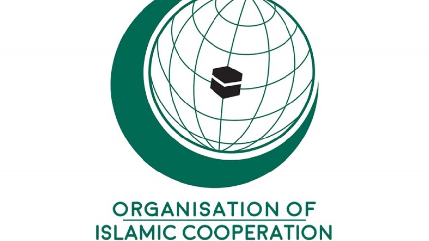 The OIC condemns Israel's new crime and calls for an end to the war