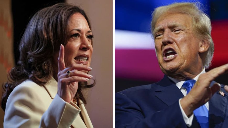 Harris and Trump offer worlds-apart contrasts on top issues in presidential race