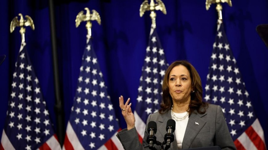 Kamala Harris has officially accepted her candidacy in the US presidential elections