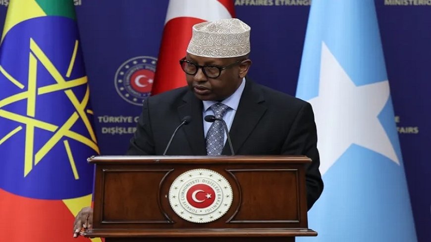 Somalia complained to Addis Ababa and threatened to support Ethiopian rebels