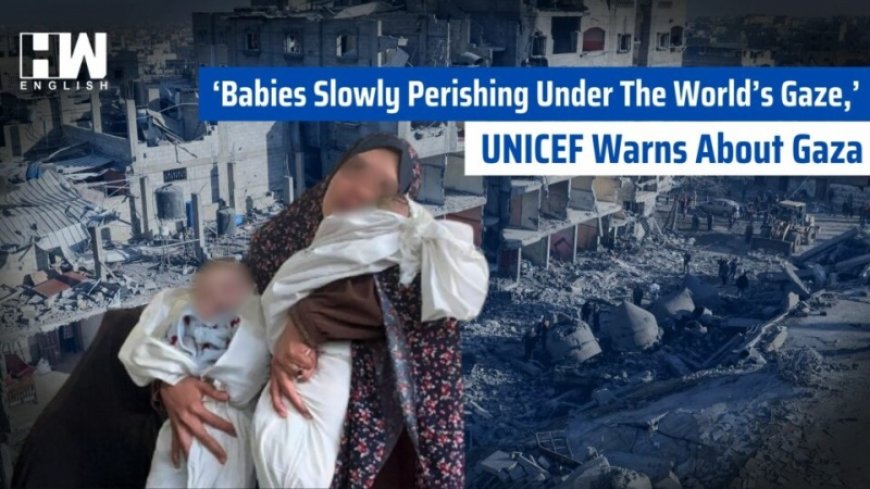 UNICEF demanded an immediate ceasefire in Gaza