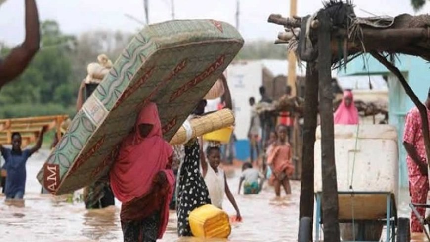 Floods kill more than 500 people in Chad