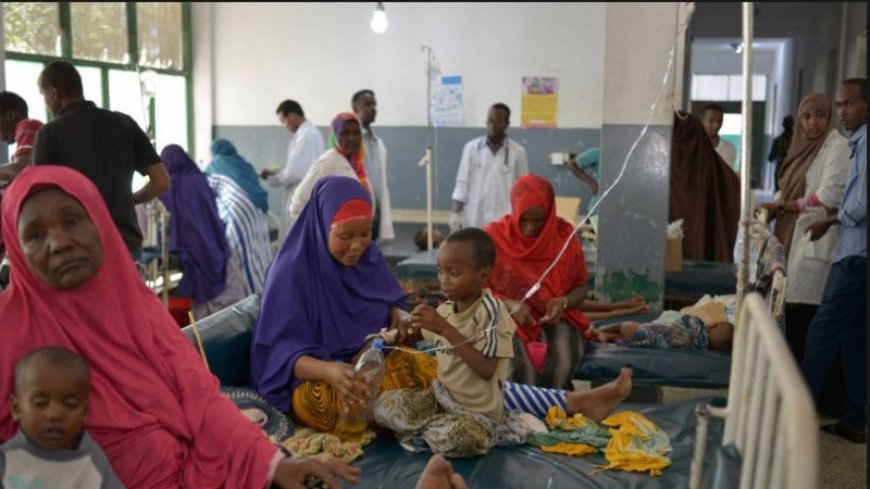 UNICEF: More than 3 million people are at risk of cholera in Sudan