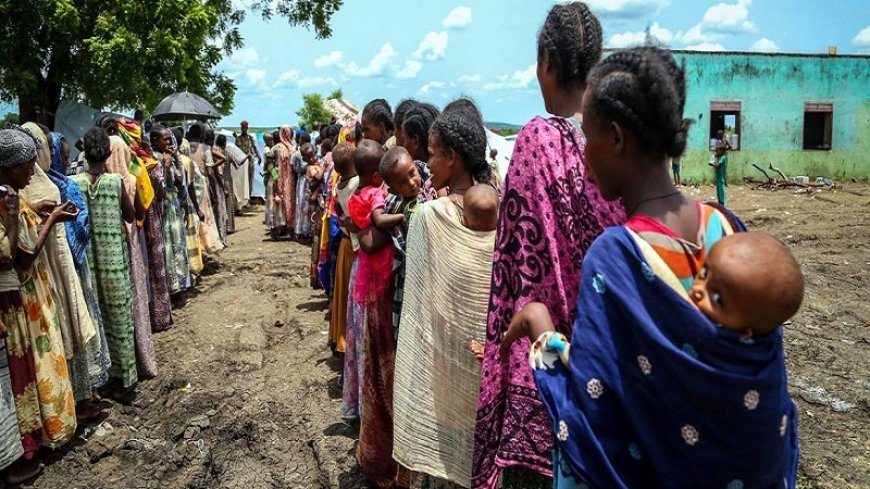 3.7 million children are at risk of severe malnutrition in Sudan