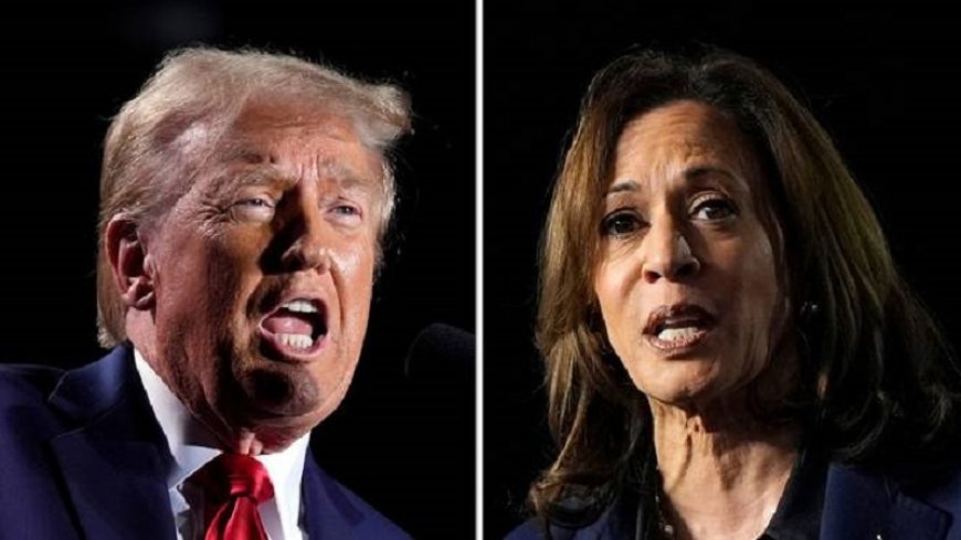 For Africa there is no difference between Trump and Harris