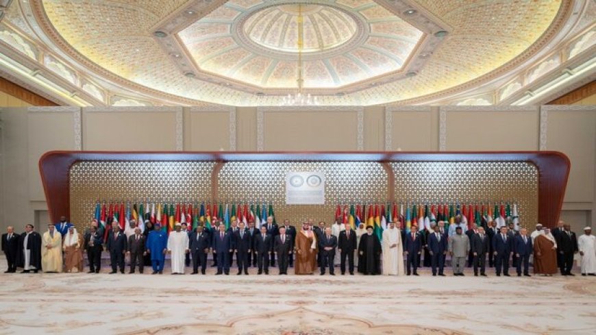 One position of Islamic and Arab countries in condemning Israel's crimes against Gaza