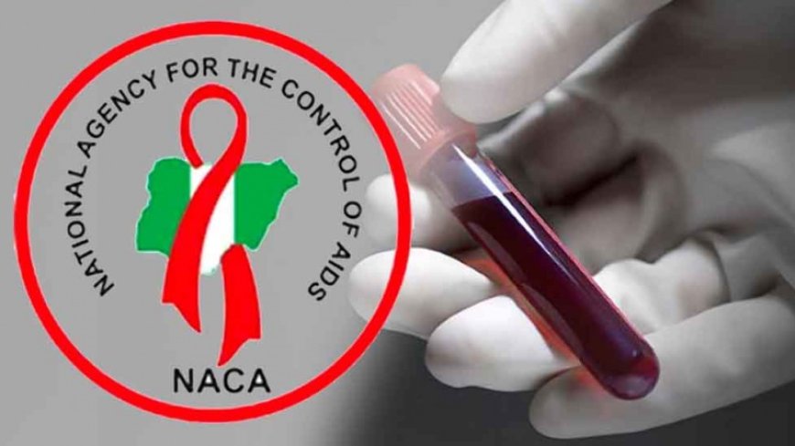 Nigeria reports 15,000 AIDS-related deaths each year