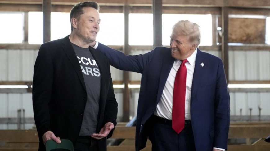 The Guardian: Musk-Trump dragon will be the scourge of Europe-US relations