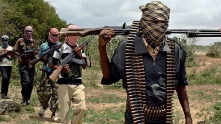 What role do Western countries play in the rise of terrorism in Africa?