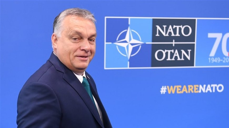 Orbán’s Rebellion: How Hungary’s Defiance Exposes NATO’s Decay and Trump’s Betrayal of Europe